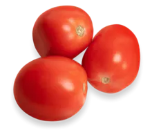 罗马西红柿和李子西红柿
