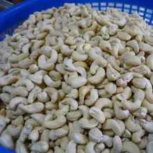 Processed cashew kernels 