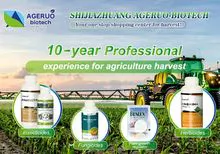 Aphids; methicillin; ethylene; polyseem