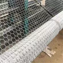 imagem dos produtos