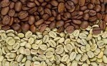 Café - Green Beans
