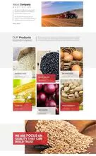 糖，大豆，大豆油，葵花籽油，玉米油。大米， 花生， 铜， 钢， 木材， 小麦， 肉， 鸡肉， 猪肉