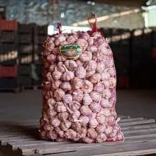 20公斤袋装新鲜大蒜。 