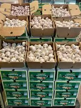 Fresh garlic in 10kg boxes 
