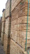 Brazilian sawn lumber