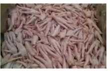 imagem dos produtos