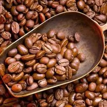 批发一级罗布斯塔生咖啡豆尺寸 16 - 18 出厂价