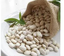  优质天然白芸豆