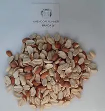Processed Peanuts