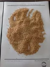 imagem dos produtos