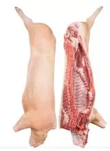 imagem dos produtos
