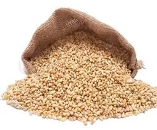 Granos de trigo