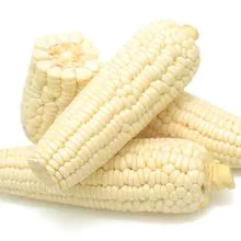 Maíz/maíz blanco y amarillo GRADO 1