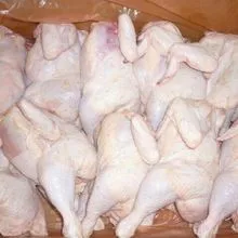 Premium Supplier Halal Frozen Whole Chicken Halal Chicken Processed Meat from Brazil