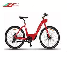 City Type Electric Bicycle