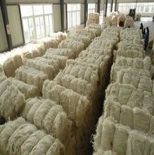 Lã à venda - Melhor Preço natural cor branca Lã de Ovelha
