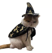 Disfraces de Halloween de Cosplay de Gatos