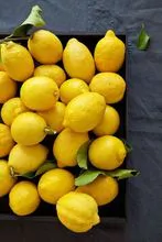 sweet fresh lemon