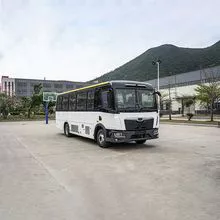 Ônibus especiais