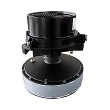 Impeller permanent magnetic variable frequency aeration host