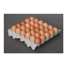 Fresh White and brown eggs | fresh table eggs for sale