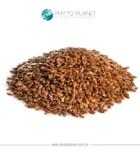 Semilla de linaza