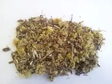 Té de Macela