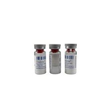 plla sculptra dermal filler Y