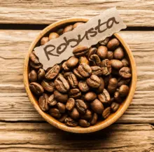 Robusta Green Coffee Beans - Top Quality Robusta Coffee good price