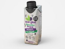 Bebida Pronta Suco Smoothie Original ZERO Açaí Glee 250 ml