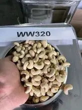 Cashew Nut