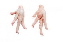 Premium Grade A Frozen Chicken Paws for sale directly from Brazil.