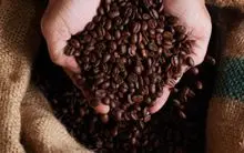 Café Arábica