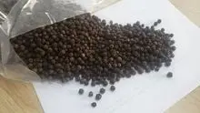Black Pepper (Black Piper)