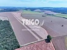 Finca en venta en Caldas Novas - Ir