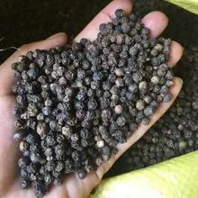 imagem dos produtos