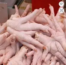 imagem dos produtos
