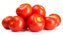 Tomates frescos para redes de supermercados