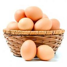 Fresh chicken eggs for sale