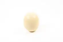 Farm fresh ostrich eggs exporter