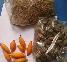 出售伊博格碱根皮