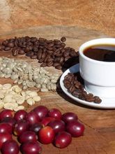 Café Verde Arábigo Colombiano – Screen 17/18 – 12% Humedad – Calidad de Exportación