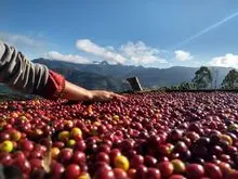 imagem dos produtos