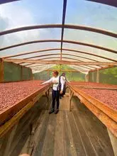 Amêndoa de Cacau Seca Orgânica Single Origin Amazônia