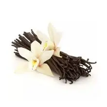 Top Quality Vanilla Beans 