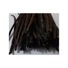 Vanilla Beans for spice