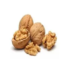 Wholesale walnuts bulk supply low price 