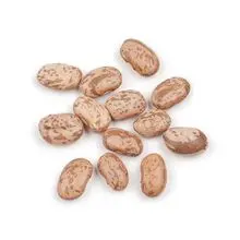 散装斑豆可供批发 