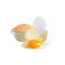 High quality dried egg yolk powder 