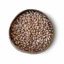 Premium Pinto Beans 